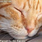 Freddie Berge Profile Picture